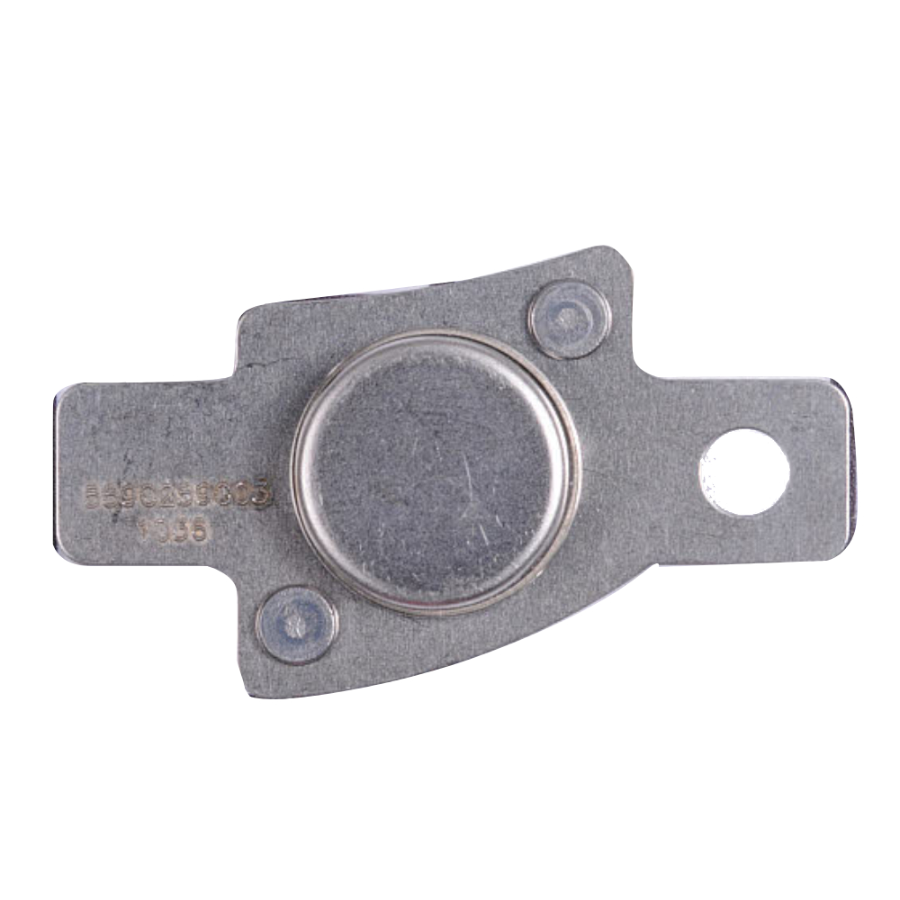 Termistor de Control de Entrada WG04F04880