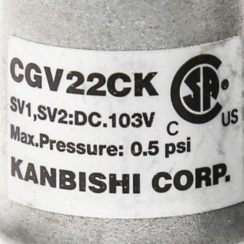 Conjunto de válvula de gas LG 5221EL2002A - Pieza genuina CKD153806