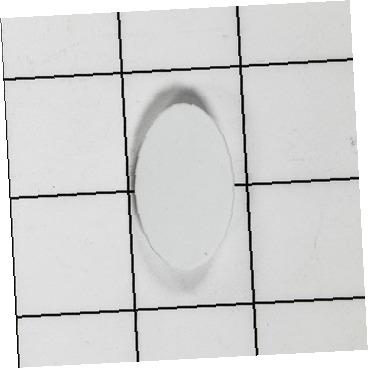 Tapón-botón, Blanco, Manija Puerta 240383601 CKD1531468 CKD1531468