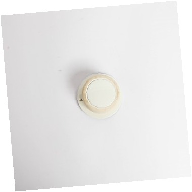 Perilla WP3957755 CKD1542876 CKD1542876