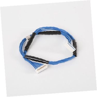 Arnés de Cables WP3407184 CKD1556415 CKD1556415