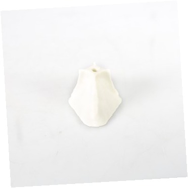 Limpiador del contenedor de hielo del refrigerador 2317243 CKD1562880 CKD1562880